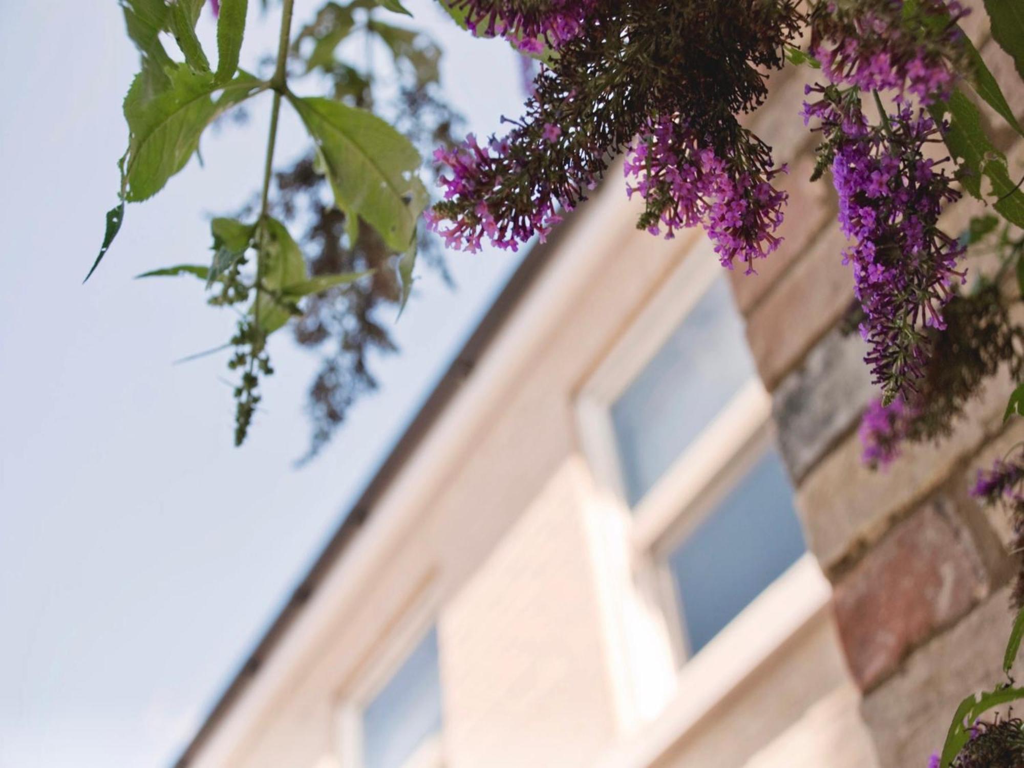 Your Space - Manor House * Cambridge (Cambridgeshire)